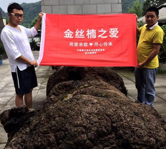 楠香有情 金丝楠乌木行业向江苏龙卷风灾区献爱心